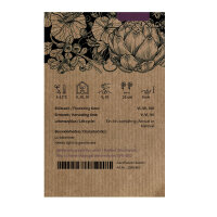 Pflücksalat Lollo Rosso (Lactuca sativa var. crispa) Bio Samen