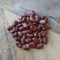 Pferdebohne / Ackerbohne (Vicia faba) Bio Saatgut